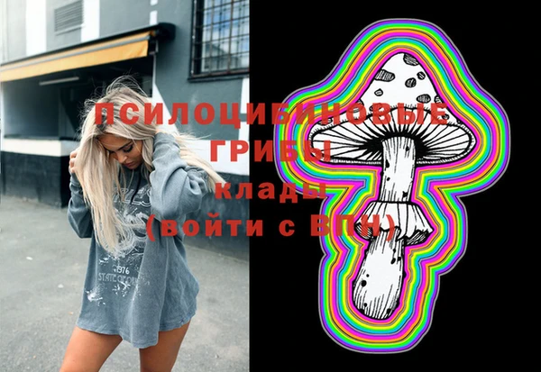 скорость Заводоуковск