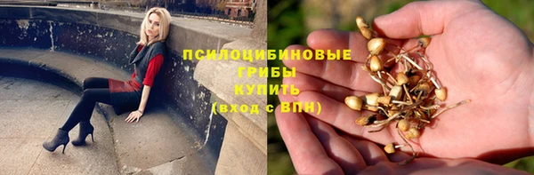 ALPHA-PVP Пролетарск