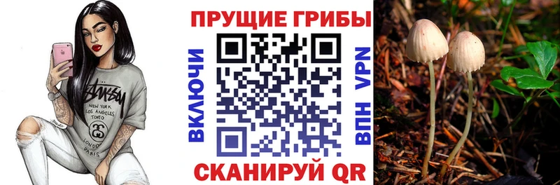 Псилоцибиновые грибы MAGIC MUSHROOMS  OMG ССЫЛКА  Севск 